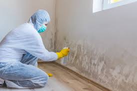 Best Comprehensive Air Testing for Mold Contaminants  in West Conshohocken, PA