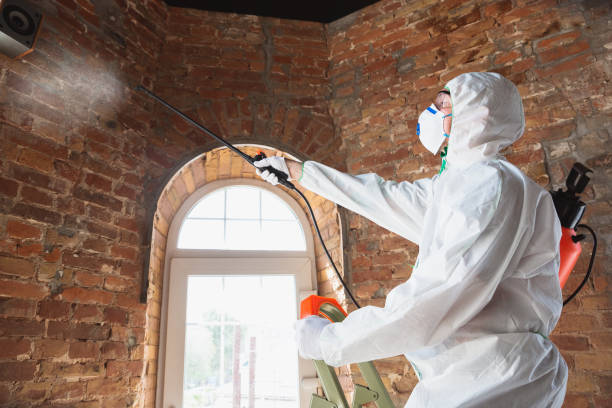 Mold Remediation for Rental Properties in West Conshohocken, PA