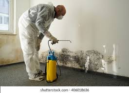 Best Water Damage & Mold Remediation  in West Conshohocken, PA